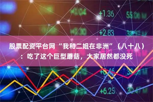 股票配资平台网 “我和二姐在非洲”（八十八）：吃了这个巨型蘑菇，大家居然都没死